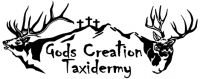 God's Creation Taxidermy