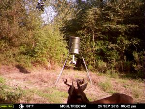 Jacked up 6 point