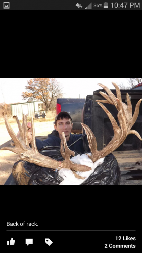 33 point back of rack