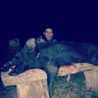 Tennessee Hog