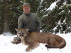 Mountain Lion Shot in Alberta