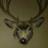 2013 Wyoming Mule Deer (Bighorns)