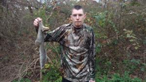 Grey Squirrel #2 of 2018