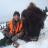 2015 Montana Bull Bison