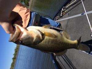 One of my best stringer