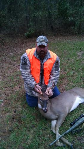 5 point white tail