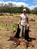 TX Hog Trapping