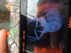 My deer before I shot it