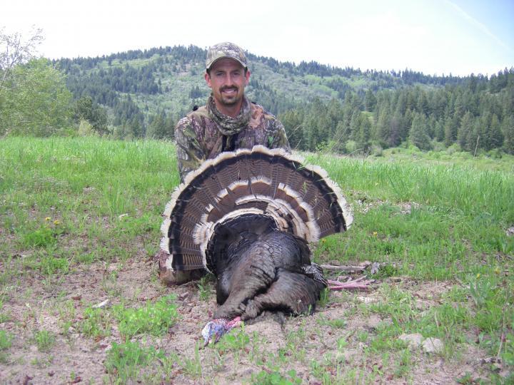 2008 Merriams turkey