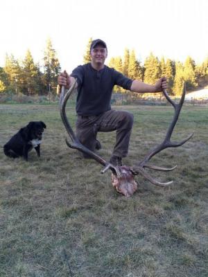 First elk