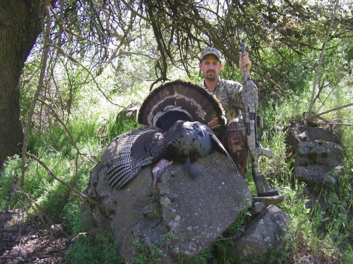 2008 Rio Grande turkey