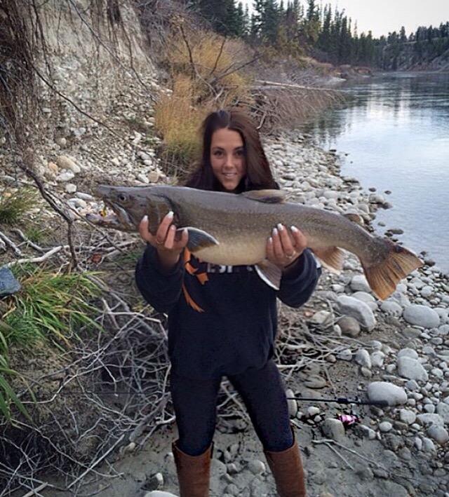 Bull trout