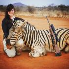 2015 Zebra Stallions 