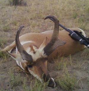 new number 2 in oregon