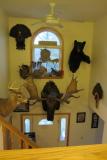 trophy room