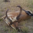 new number 2 in oregon