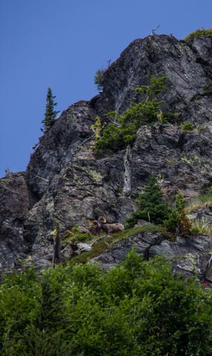 Hike to Chicago Peak in Western Montana