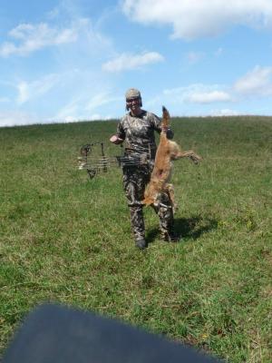 Wiley Coyote