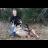 2010 archery buck