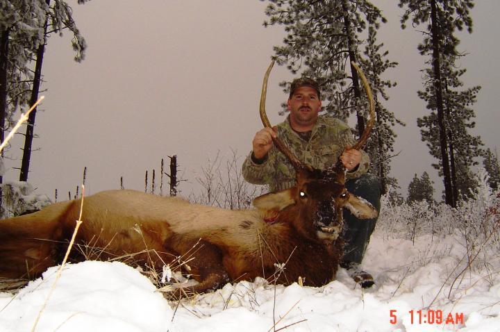 2006 Late Archery