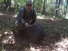 My dads big hog
