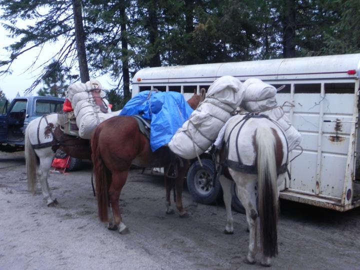 2012 elk camp