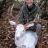 Rare Albino Buck