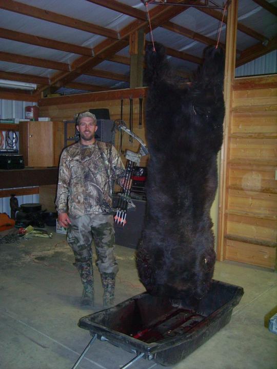 2011 WA black bear 1