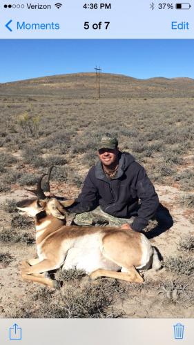 NV antelope 