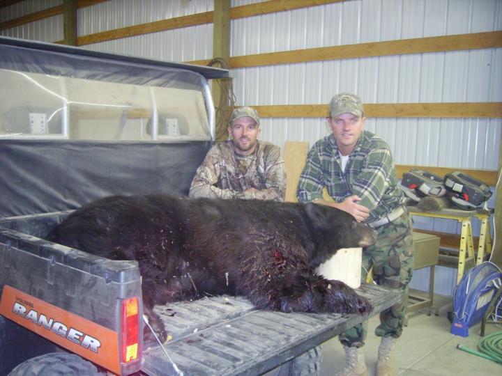 2011 WA black bear 2