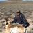 NV antelope 