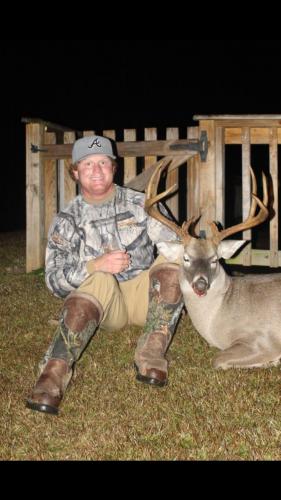 Whitetail