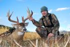 Public Land Whitetail 