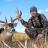 Public Land Whitetail 