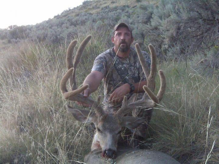 2011 velvet archery buck