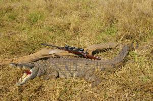 Croc