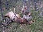 Rocky Mtn Elk