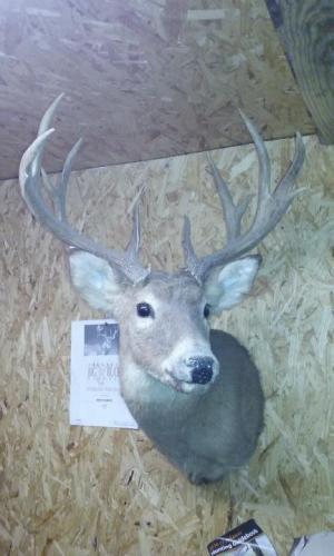 Marsh Trophy Room