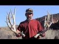 Video Showing Big Arizona Mule Deer Sheds