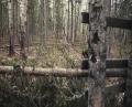 Black Bear Shot At 3 Yards - Dangerous Black Bear Hunt.