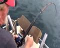 Shark Steals Fish Off Fishermans Line and Almost Jumps Into Boat!