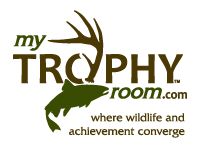 My Trophy Room