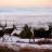 Muley Fans