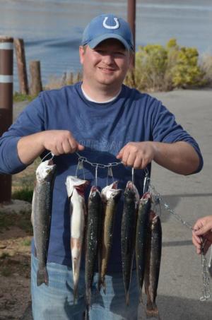 Rainbow Trout - Deer Creek Reservoir, UT
