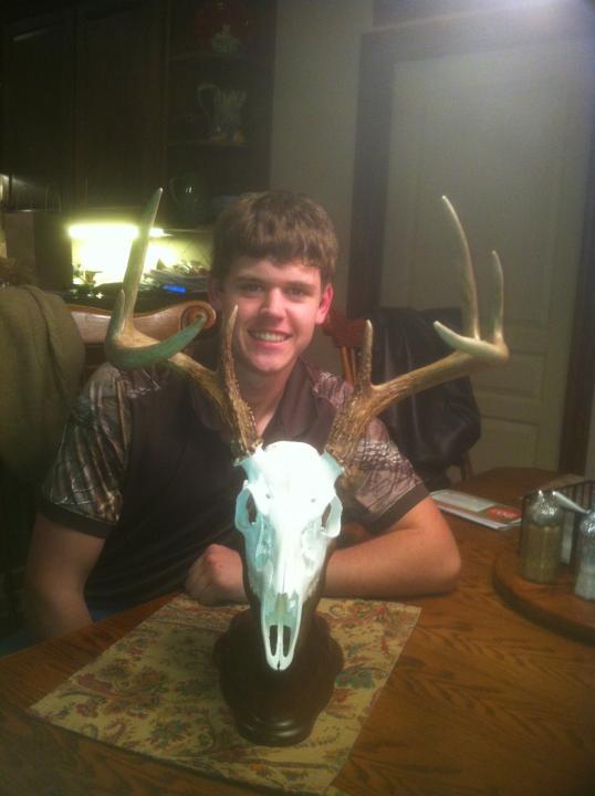 Tennessee deer 