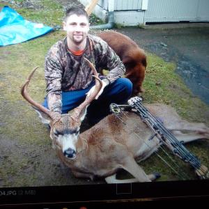 blacktail deer