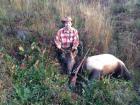 2011 Elk