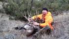 deer