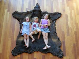 2011 WA Black Bear