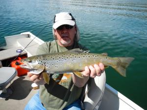 Big Brown